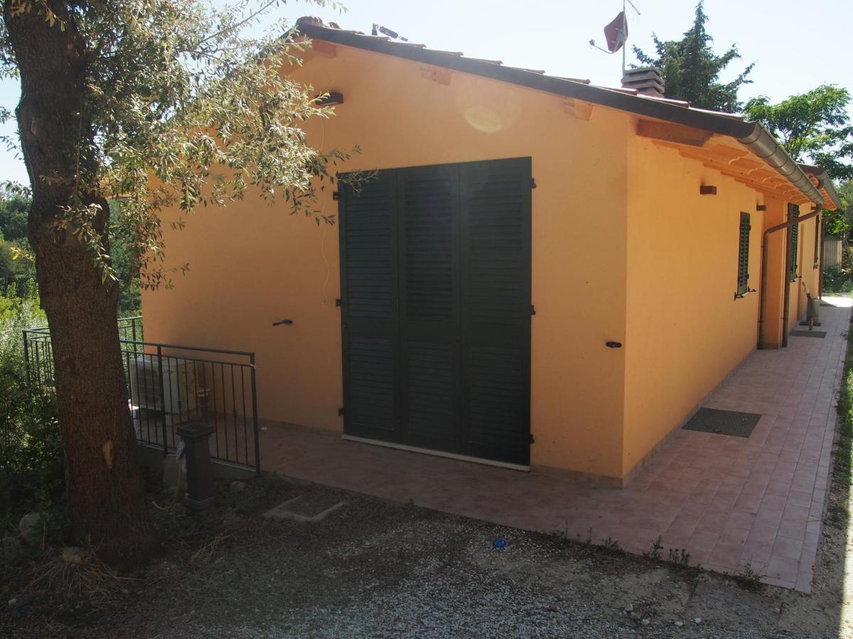 Ardizio 43 * Pesaro